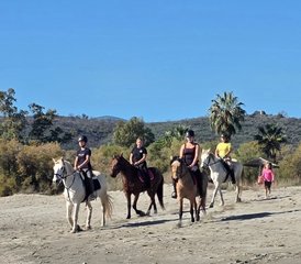 8 Tage Reiturlaub für Familien auf dem Peloponnes, Griechenland mit Bauernhofbesuch und Pferdepflege - Photo 4
