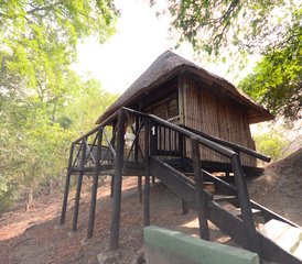 6-Daagse Lodge- en Boomhuissafari in Balule Nature Reserve en Kruger National Park, Zuid-Afrika - Photo 3