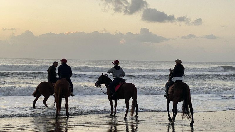 6 Day Learn Polo in Argentina's Countryside Parque Camet, Mar del Plata