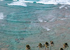 Oahu Retreats & Trips