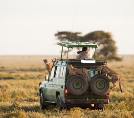 6 días de safari combinado increíble por Kenia y Tanzania - Photo 2
