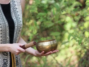 4 Day Sound Healing Training With Singing Bowls in Dharamshala, Himalayas