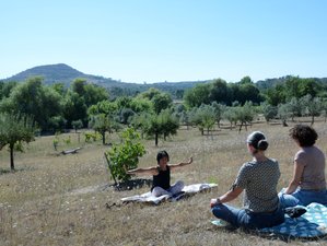 4 Day Mindful Retreat: Recharge, Train your Brain and Walk Mindful in mid Portugal near Coimbra