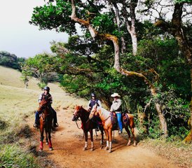 8 jours de séjour équestre Explorer 5 étoiles à Miramar, Puntarenas - Photo 4