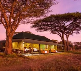 6 días de aventura de safari de los Cinco Grandes en Serengeti, el cráter del Ngorongoro, Tarangire y Manyara - Photo 2