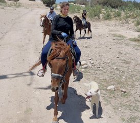 5 jours en stage de yoga, galops à cheval sur la plage et détente à Essaouira, Maroc - Photo 5