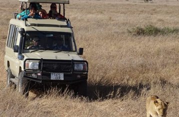 4 Tage Gruppen-Safari in Kenia im Maasai Mara und Lake Nakuru