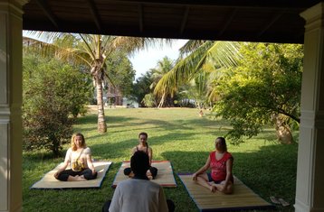 7 Day Ayurveda Treatments with Yoga in Bentota, Sri Lanka