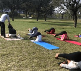 15-daagse yoga-, wellness- en ervaringsretraite in Jaipur, India, inclusief culturele onderdompeling - Photo 4