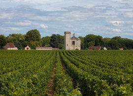 Bourgogne-Franche-Comté Retreats & Trips
