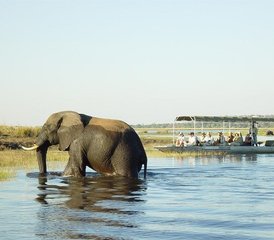 14 Tage Große Safari Camping-Tour in Namibia, Botswana und Simbabwe - Photo 4