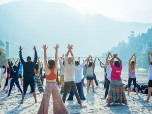 18 Day 200-Hour Yoga, Meditation, and Ayurveda Teacher Training in Rishikesh, India