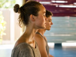 7 Day Soul Renewal Yoga Retreat with Snorkel Turtle Tour on the Sacred Island of Gili Air, Indonesia