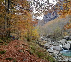 6 días de retiro explorativo de yoga en Vallemaggia, Ticino, Suiza - Photo 5