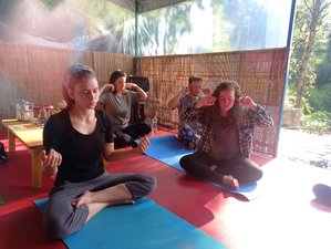 27 Day 200-Hrs Multi-Style Yoga Teacher Training in Dharamshala