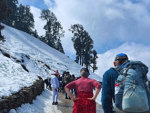 6 Day Yoga and Trekking Tour: Source of the Ganga in India