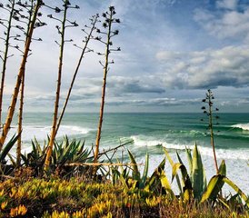 8-Daagse Yoga Retreat: Wellness en Natuur nabij Ericeira, Portugal - Photo 5