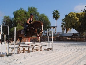 7 Day Journey to Self: Private Horse Riding Retreat with Coaching and Yoga at Costa del Sol, Spain