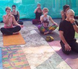 23-Daagse 200-uurs Yogadocentenopleiding in Dharamsala, Himachal Pradesh, India - Photo 4