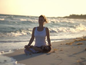 6 Tage Entdecke Deine Kreativität im Yoga Urlaub mit Malkursen auf Rügen 