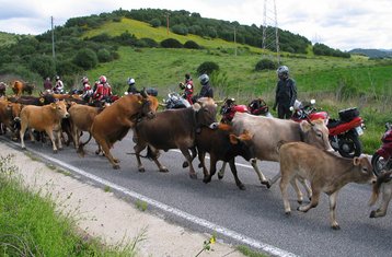 8 Tage Selbstgeführte Motorrad-Tour auf Sardinien, Italien