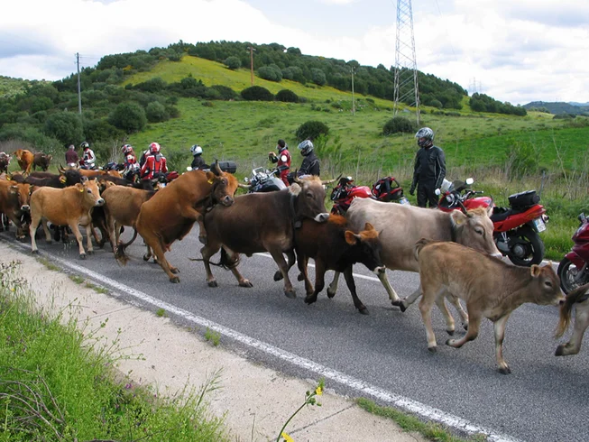 8 Day Self-Guided Motorcycle Tour of Sardinia, Italy