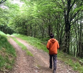 6 jours en stage de cuisine végétale crue avec yoga et massage dans la profonde forêt du sud de la France - Photo 4