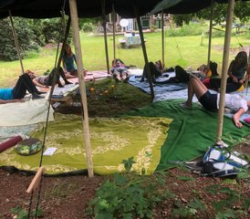 44-Daagse Natuur Retreat met Yoga, Meditatie en Natuurverbinding in Renkum, Nederland - Photo 1