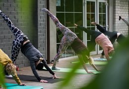 500 horas Profesorado de yoga