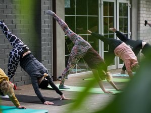 500-Stunden Yogalehrer Ausbildung