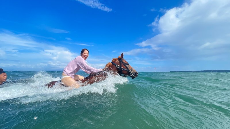 2 Day Ocean Horseback Riding Holiday in Miura, Kanagawa
