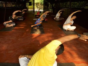14 Day Natural Detox and Blissful Stress Relief Yoga Retreat in Kochi