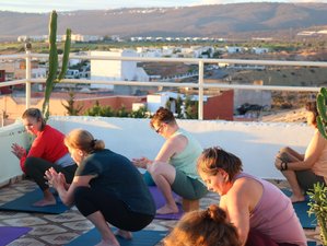 8 Day Women's Surf Camp and Yoga Retreat in Tamraght, Morocco