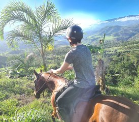 7 jours en stage de connexion au cheval, liberté et yoga à Cartago, Costa Rica - Photo 4