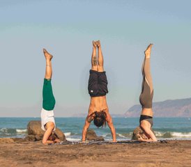 76-Daagse Serenity: Een Yoga Retreat Voor Vernieuwing van Lichaam, Geest En Ziel Bij Galgibaga Beach in Goa, India - Photo 1