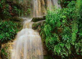 Shillong Retraites en Reizen