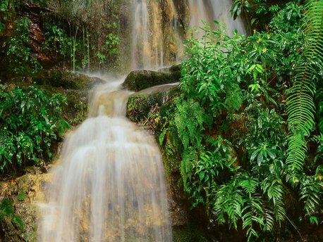 Shillong