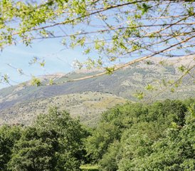 4 Tage Yoga Und Wandern Im Abruzzen Nationalpark In Abruzzo, Italien - Photo 3