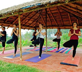 77 Tage Spirituelles Wellness- und Yoga-Retreat in Mysore, Indien - Photo 1