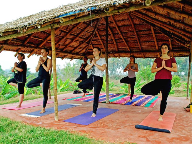 Mysore Yoga CPH: Read Reviews and Book Classes on ClassPass