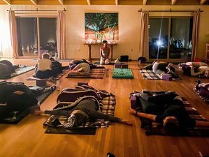 4 Day Begin or Begin Again: Immersion into the Basics of Yoga in Sonoma, California
