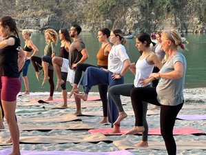 28 jours-200h en formation de professeur de yoga multistyles à Rishikesh, Inde