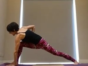 200-Hour Self Paced Multi-Style Online Yoga Teacher Training - Hatha, Ashtanga, and Vinyasa Yoga