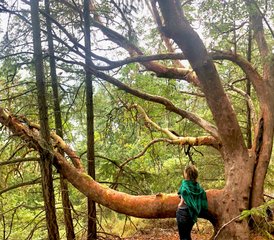 34-Daagse Vrede in de Natuur Yoga De Retreat op de Gulf Islands, Canada - Photo 1