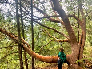 4 Day Peace in Nature Yoga Retreat in the Gulf Islands, Canada