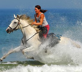 32 Day Mimizan - Contis - Mimizan Horse Riding Holiday in Landes, France - Photo 1
