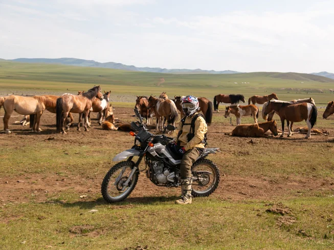 8 Day Serow Gobi Guided Motorcycle Tour in Mongolia photo 4
