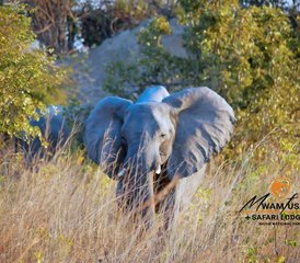 4 Tage Günstige Safari im Kafue-Nationalpark, Sambia - Photo 4