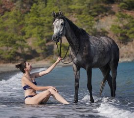 7 jours en stage de randonnée à cheval sur la Voie lycienne Pegasus en Turquie - Photo 4
