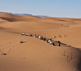8 jours en stage de respiration du Sahara : exploration du désert et yoga au Maroc - Photo 3